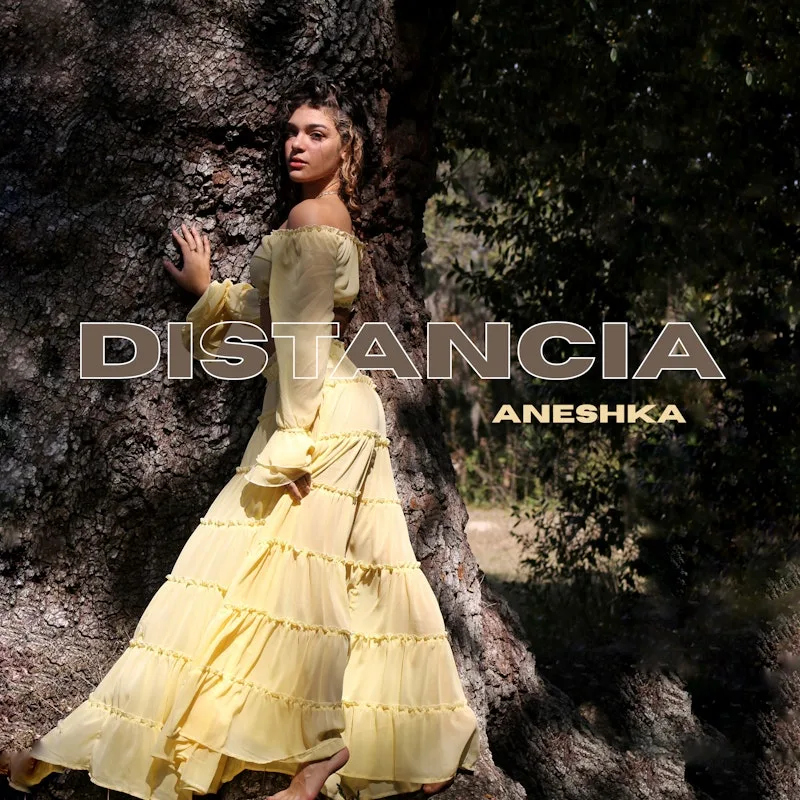 Aneshka — Distancia
